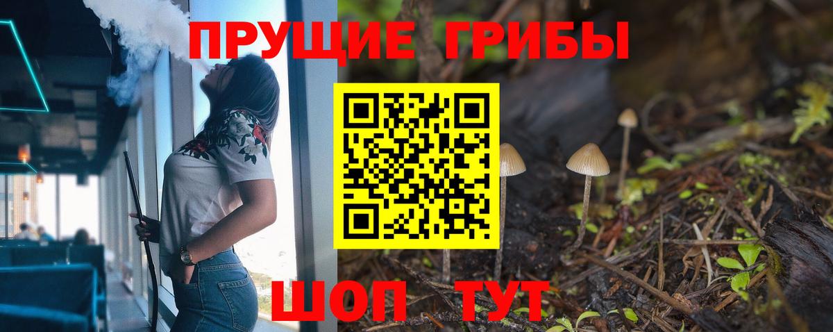 Псилоцибиновые грибы GOLDEN TEACHER Железногорск