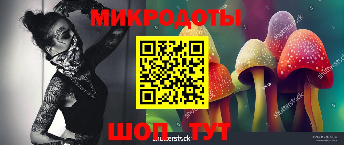 Галлюциногенные грибы Psilocybe  Вход с VPN  Железногорск  Псилоцибиновые грибы мицелий 